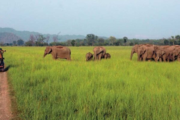 Palace Hopping in Style: Exclusive Rajasthan Luxury Tour Packages Rajasthan