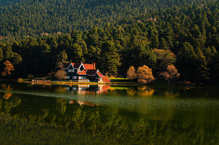 The Best Hotel in Almora and Homestays in Binsar, Uttarakhand