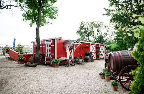 Gallop into Giggles: How a Western-Themed Farm Becomes a Source of Enjoyment for Kids Farm